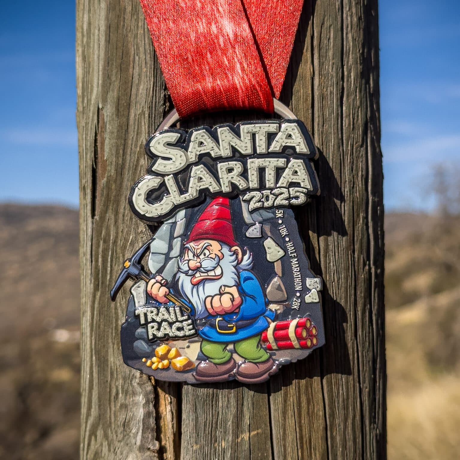 2025 Finisher Medal