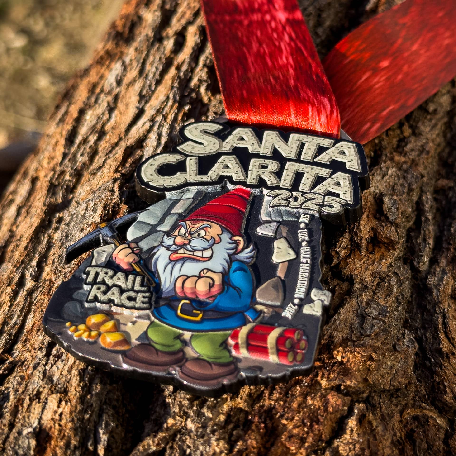 2025 Finisher Medal