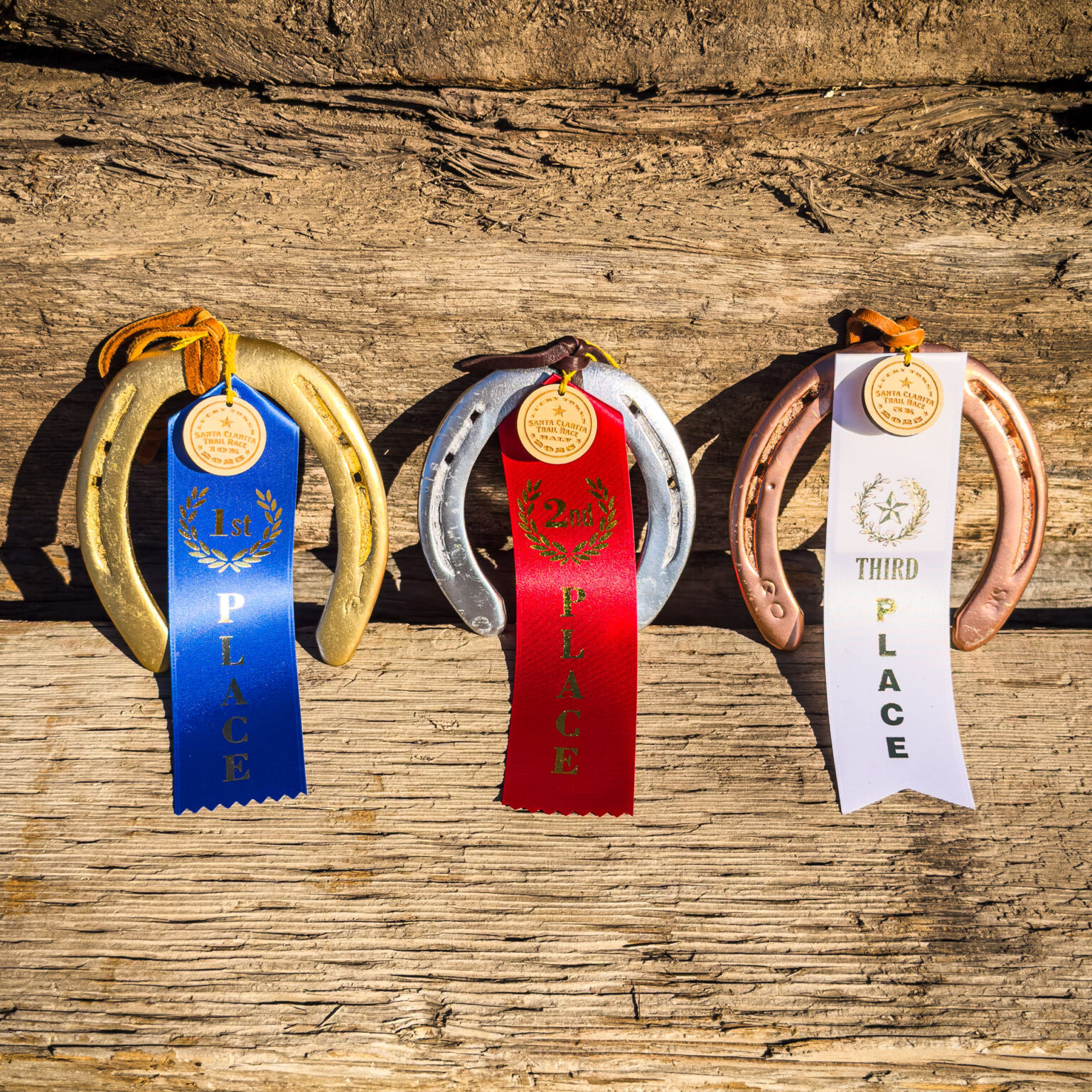 Top Finisher Awards Top Finisher Awards